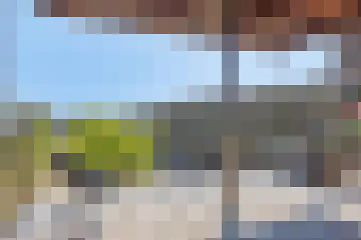 Tuinderspad 118 Alkmaar thumbnail 6