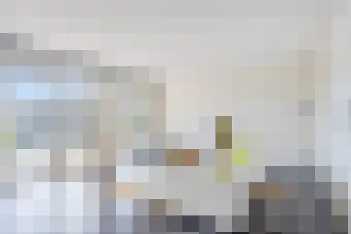 Tuinderspad 118 Alkmaar thumbnail 8