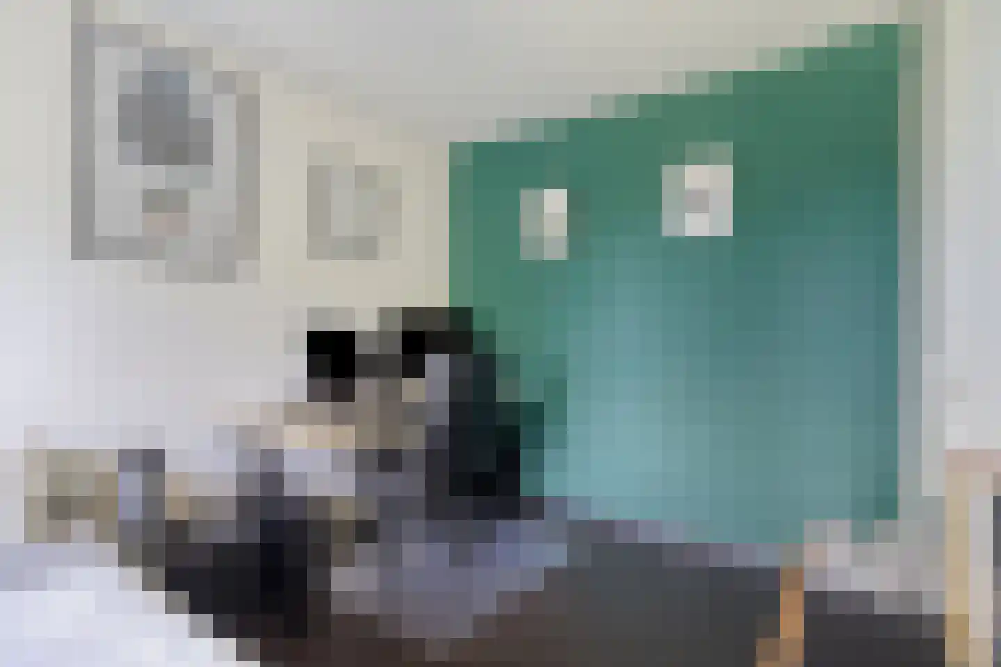 Tuinderspad 121 Alkmaar thumbnail 17
