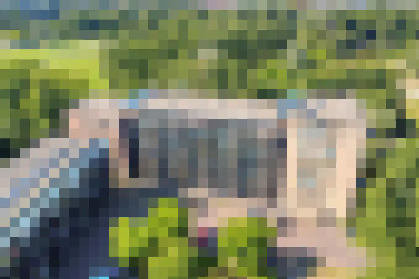 Tuinderspad 121 Alkmaar thumbnail 23