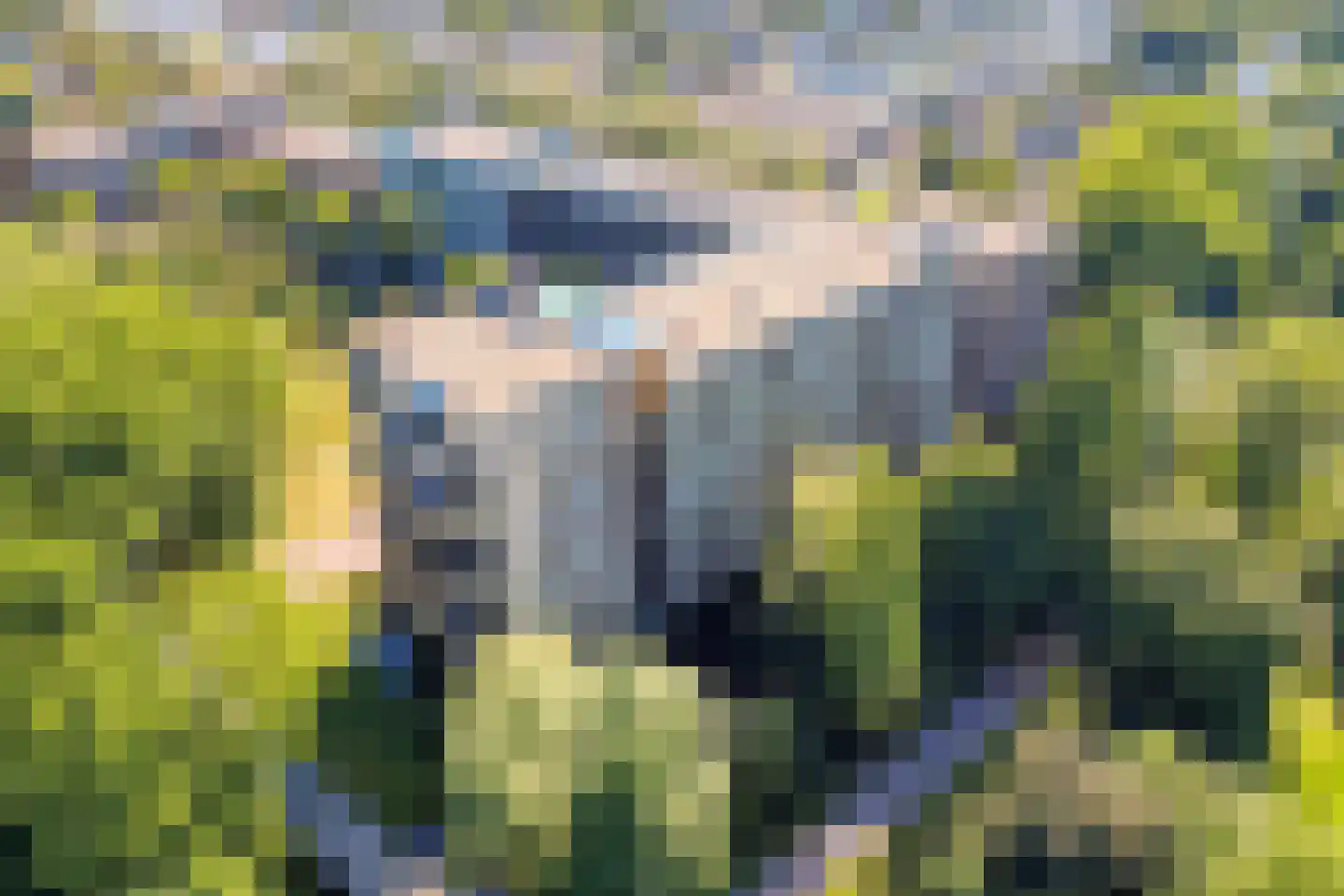 Tuinderspad 121 Alkmaar thumbnail 25