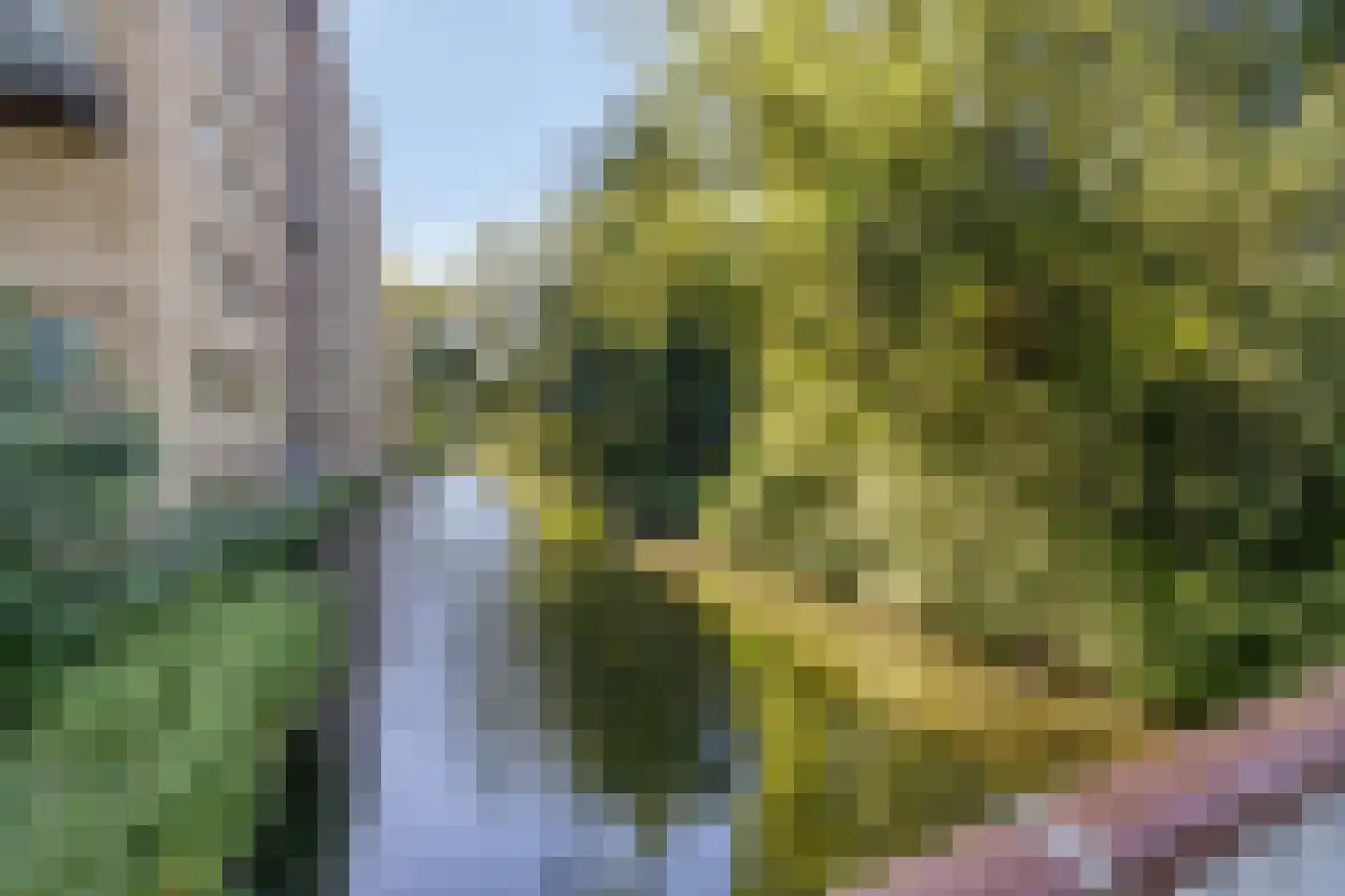 Tuinderspad 121 Alkmaar thumbnail 26