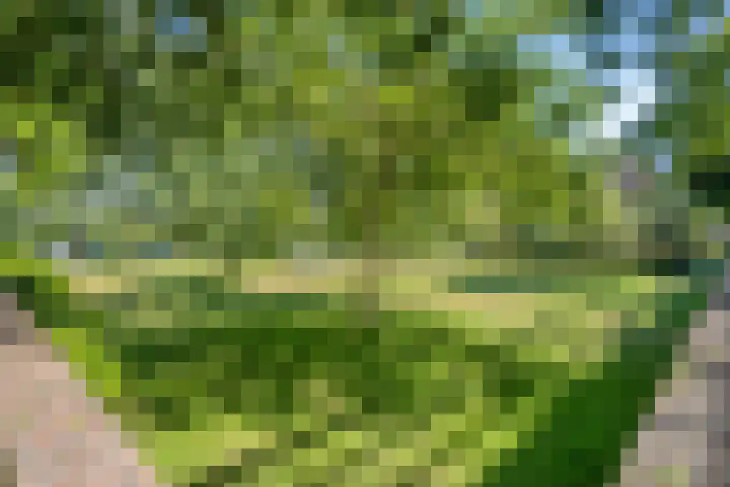 Tuinderspad 121 Alkmaar thumbnail 27