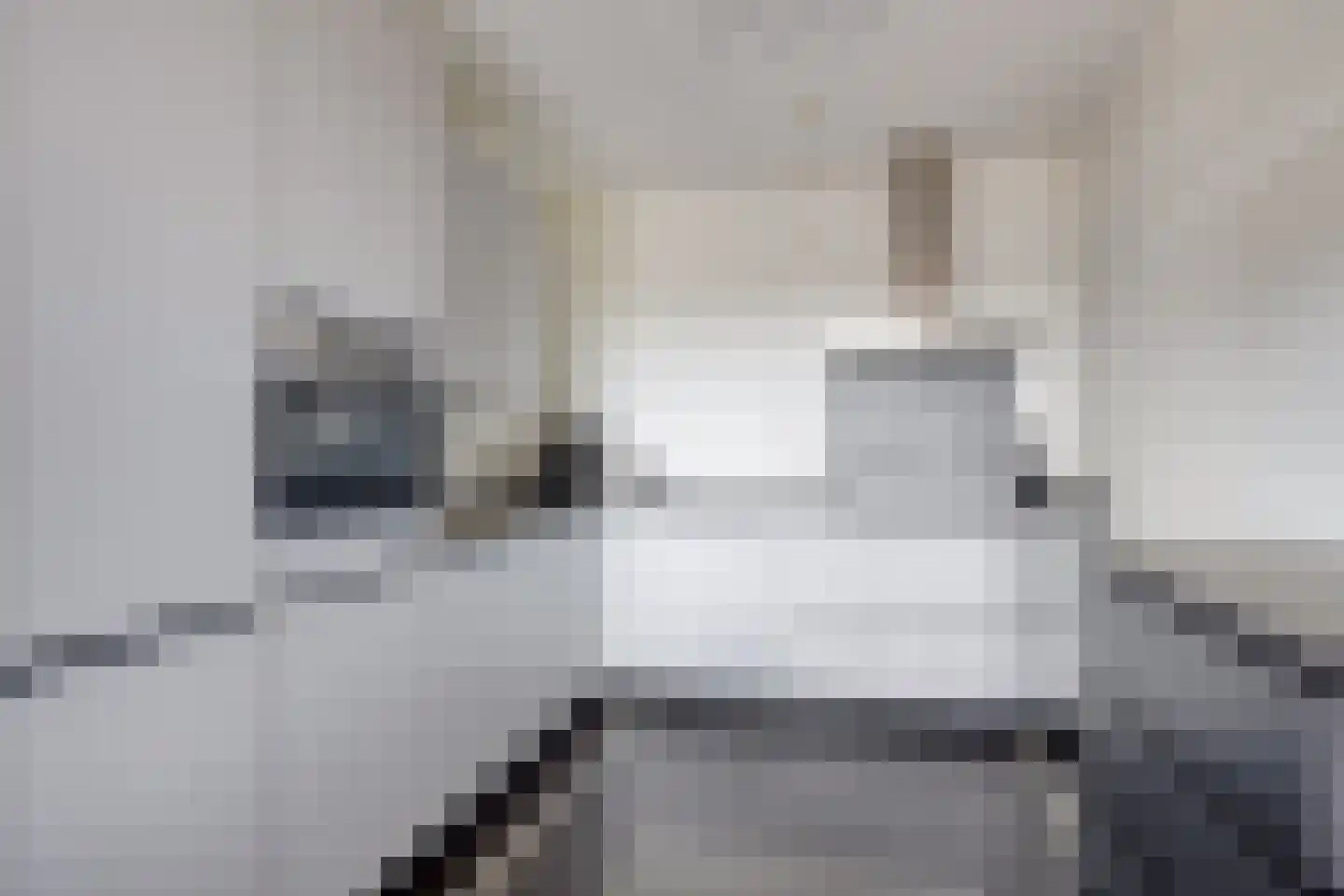 Tuinderspad 121 Alkmaar thumbnail 4