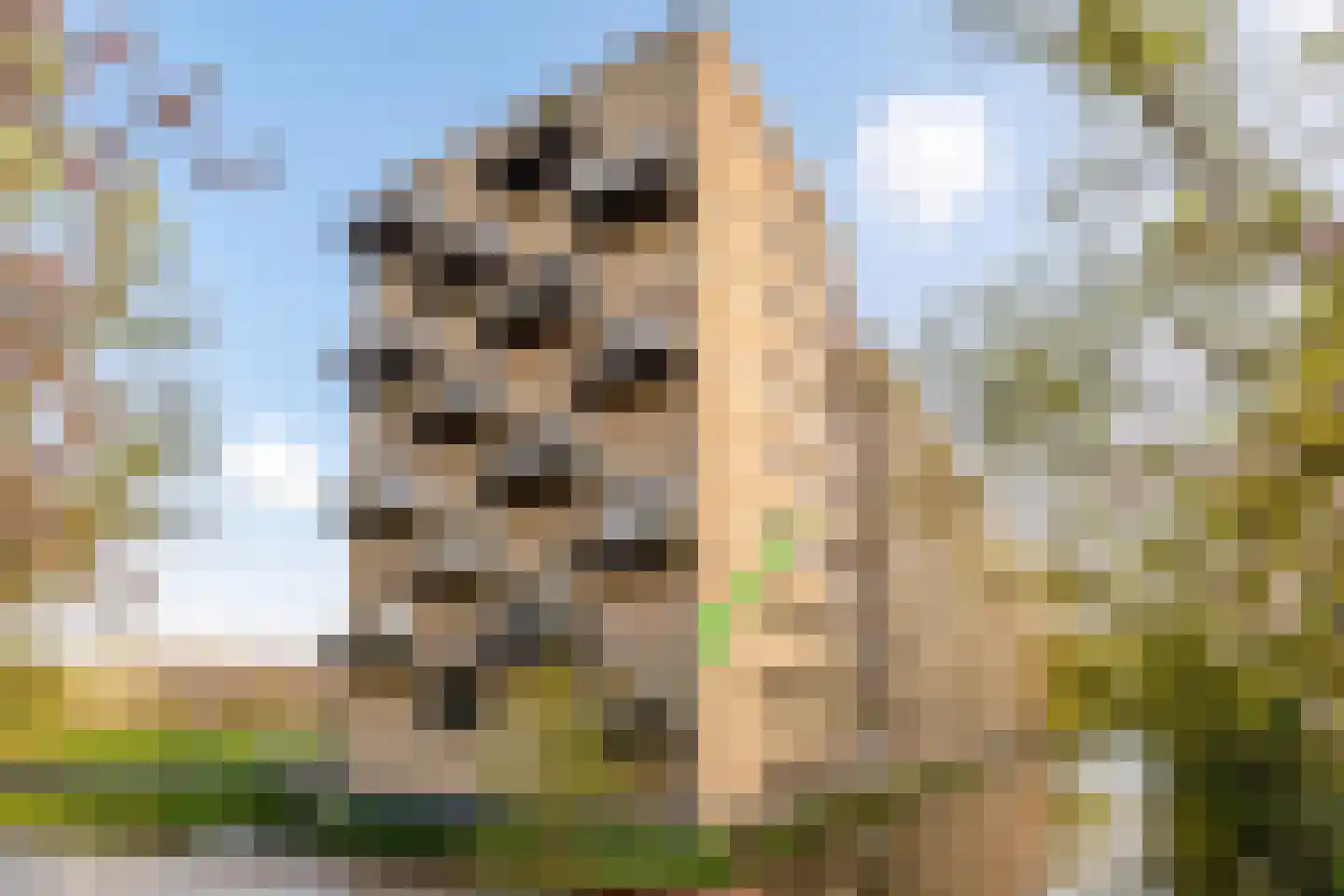 Tuinderspad 136 Alkmaar