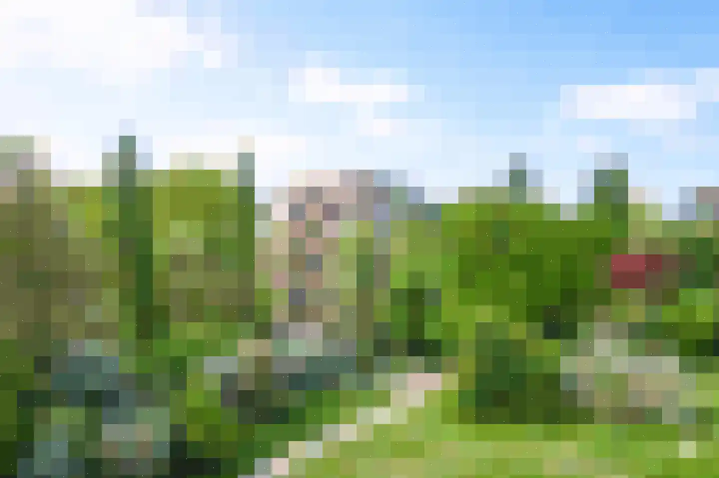 Tuinderspad 136 Alkmaar thumbnail 16