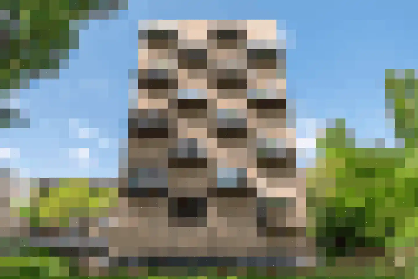 Tuinderspad 136 Alkmaar thumbnail 17
