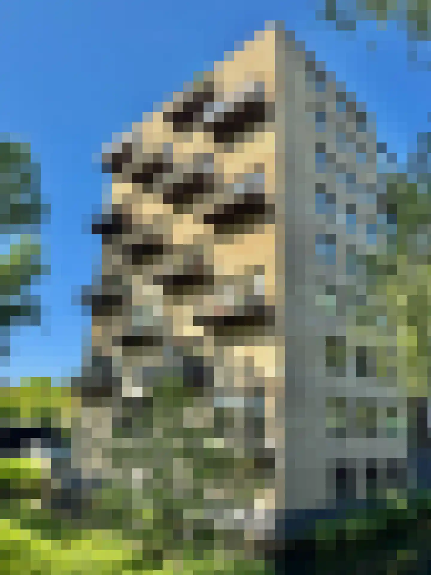 Tuinderspad 136 Alkmaar thumbnail 18