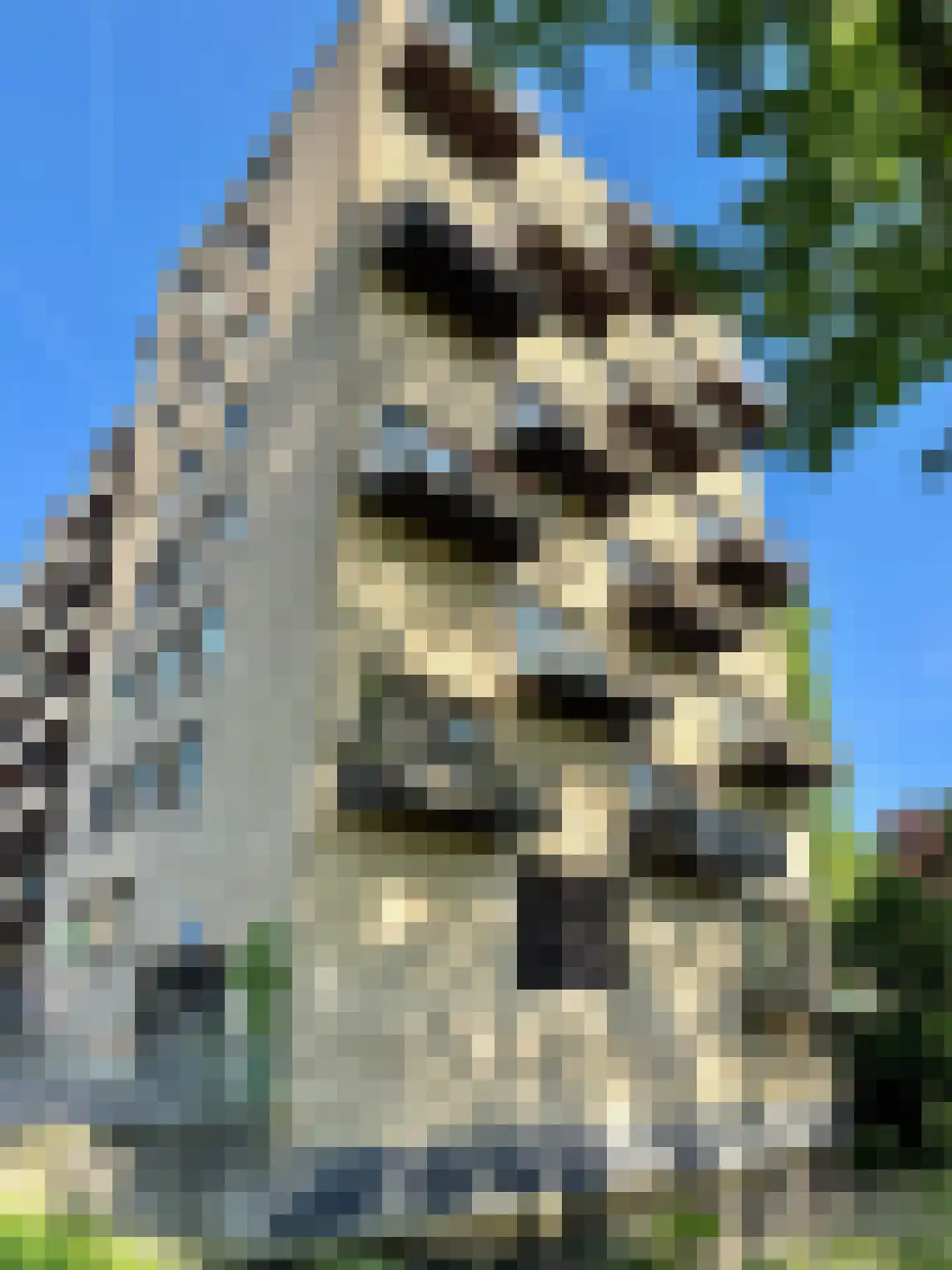 Tuinderspad 136 Alkmaar thumbnail 20