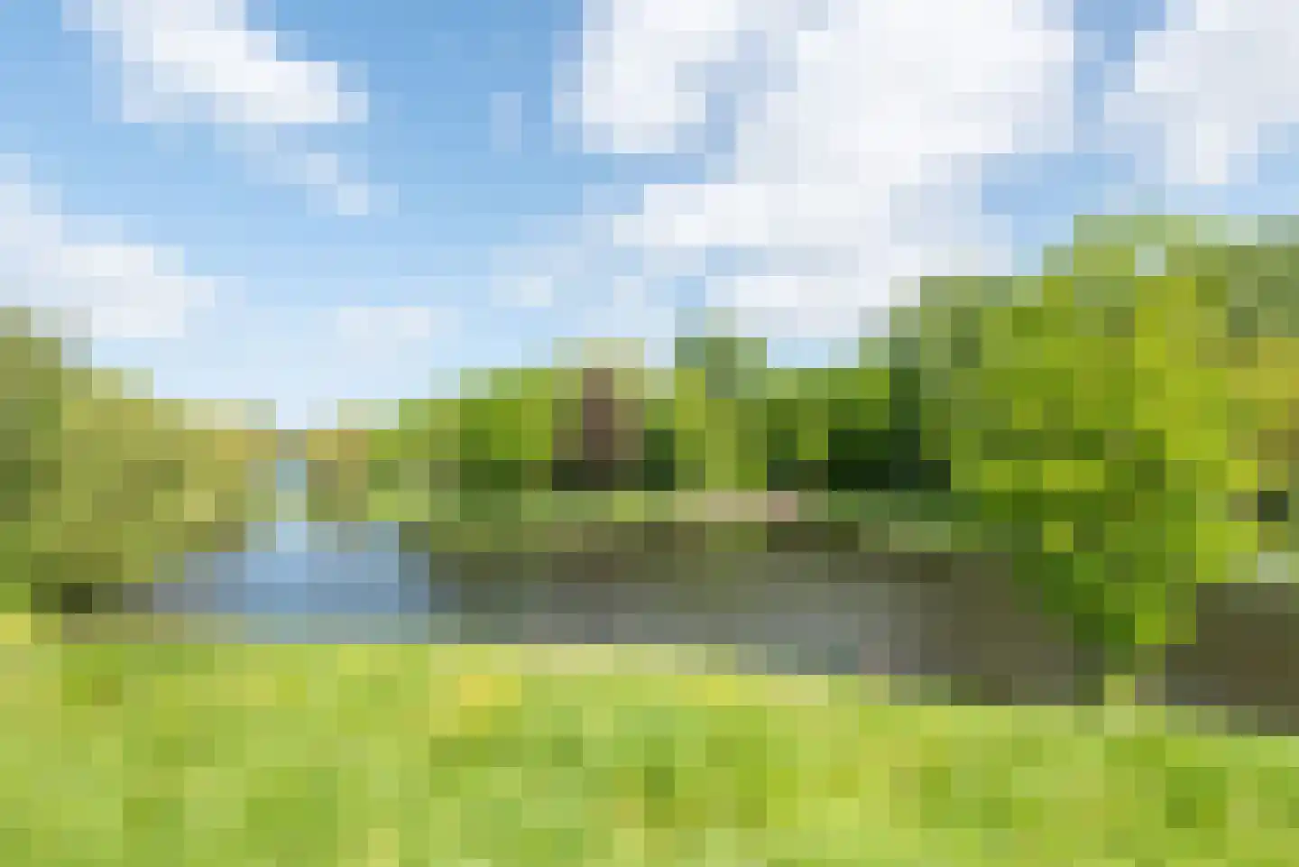 Tuinderspad 136 Alkmaar thumbnail 21