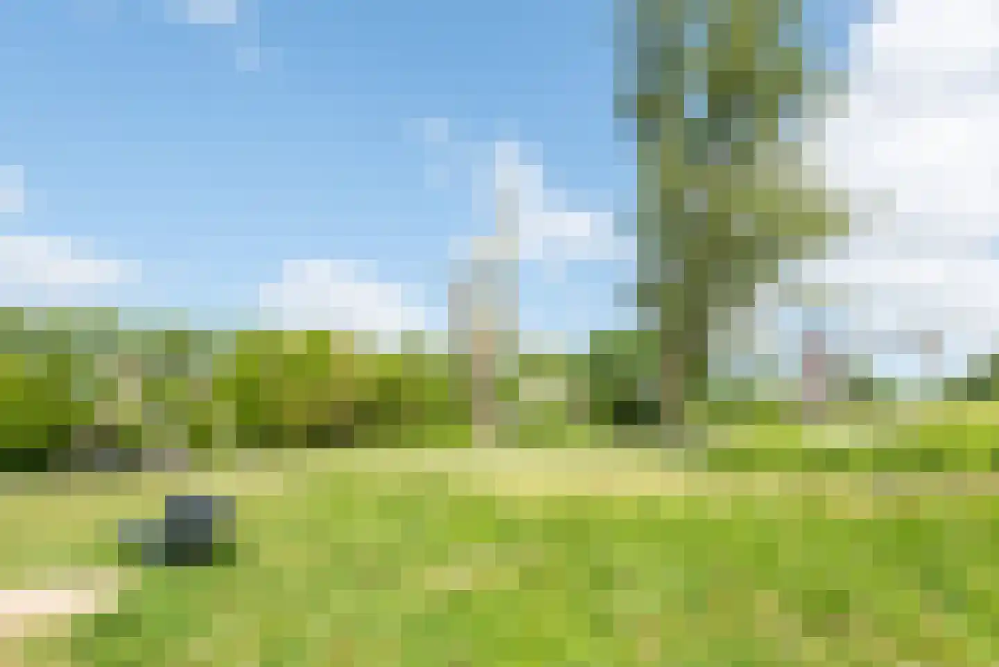 Tuinderspad 136 Alkmaar thumbnail 22