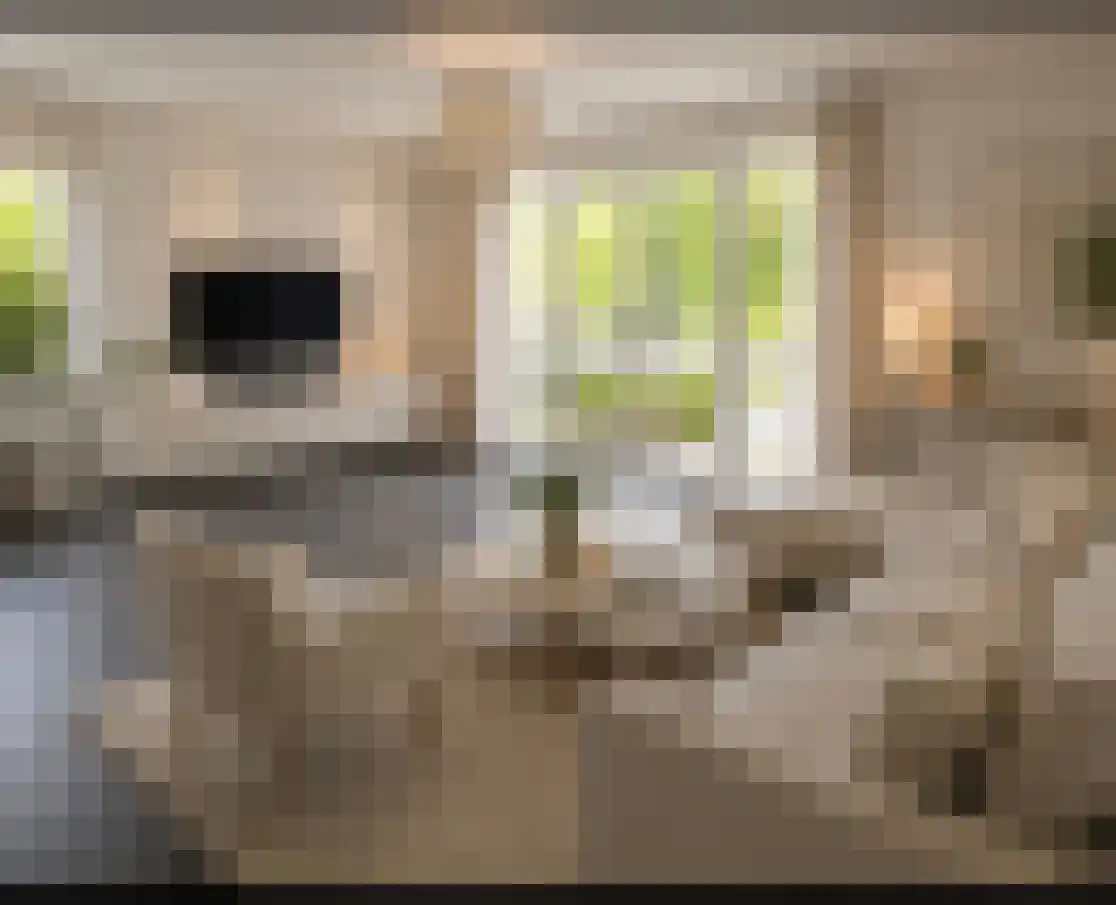 Tuinderspad 136 Alkmaar thumbnail 4