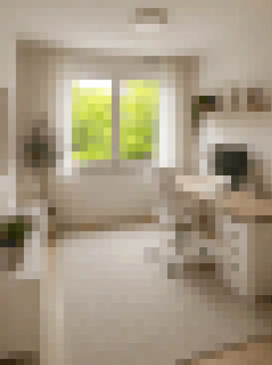 Tuinderspad 136 Alkmaar thumbnail 8