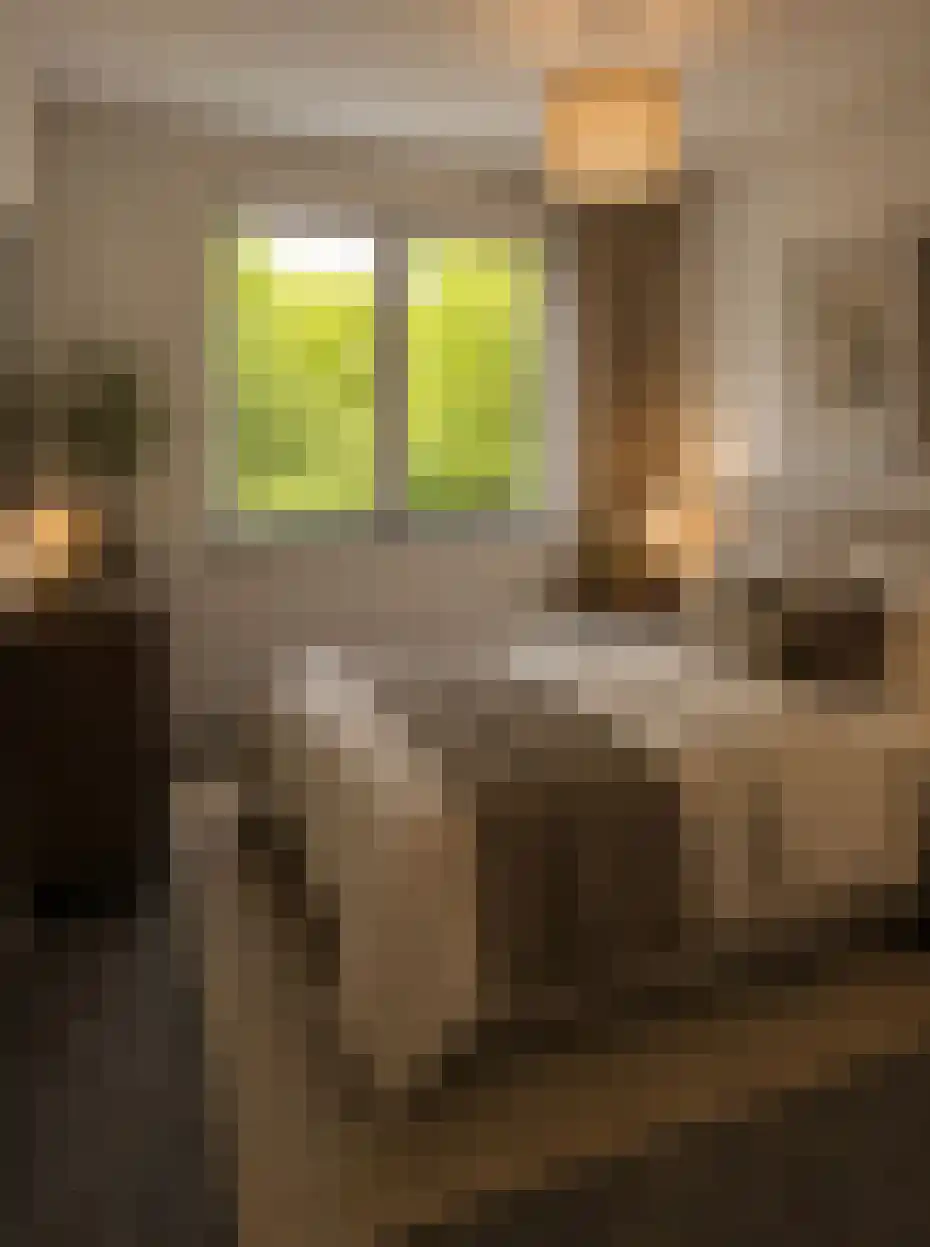 Tuinderspad 136 Alkmaar thumbnail 9