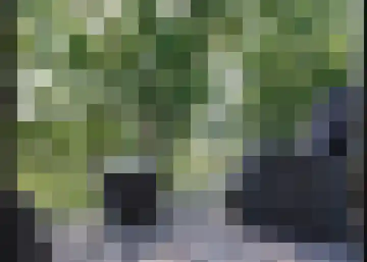 Tuinderspad 142 Alkmaar thumbnail 11