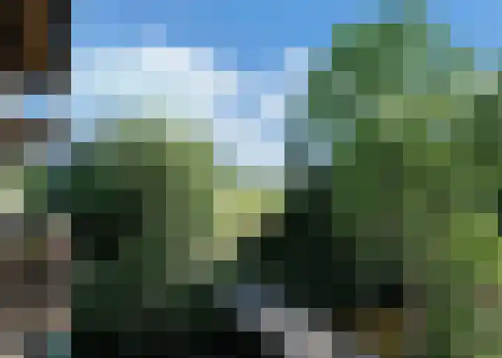 Tuinderspad 142 Alkmaar thumbnail 12
