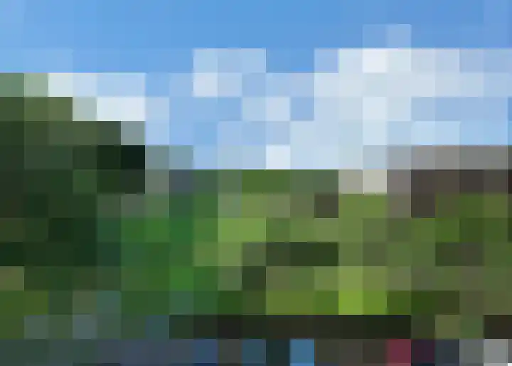 Tuinderspad 142 Alkmaar thumbnail 27