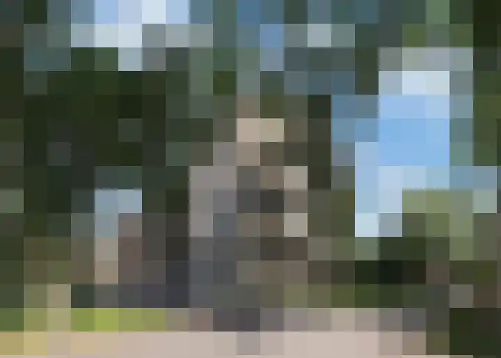 Tuinderspad 142 Alkmaar thumbnail 28