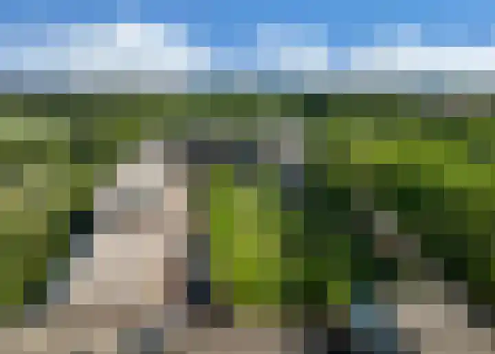 Tuinderspad 142 Alkmaar thumbnail 34