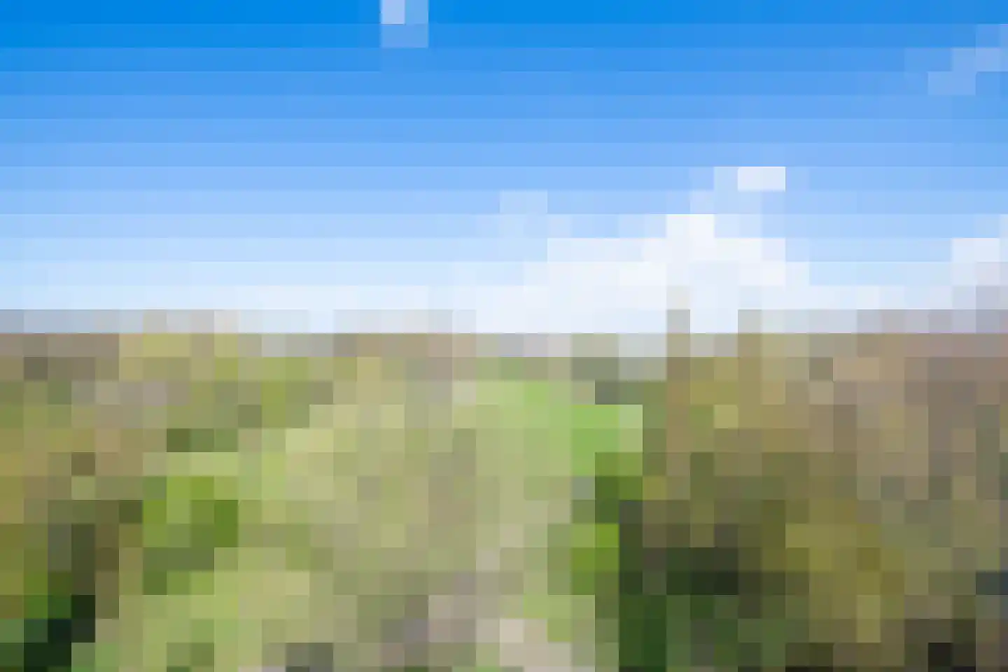 Tuinderspad 147 Alkmaar thumbnail 15