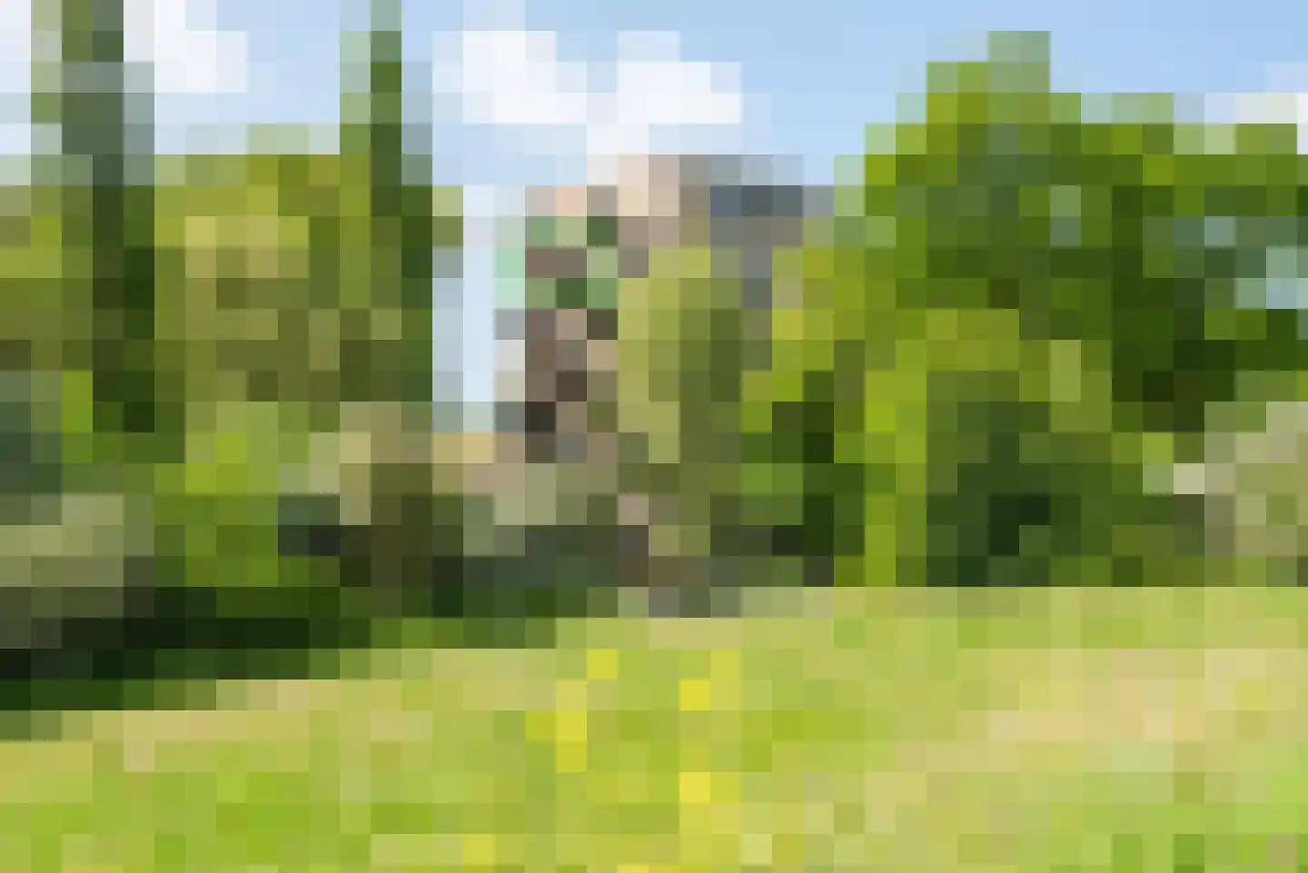 Tuinderspad 148 Alkmaar