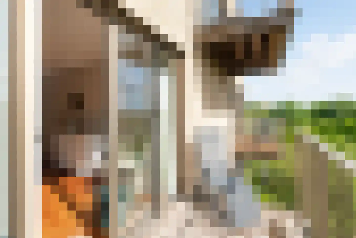 Tuinderspad 148 Alkmaar thumbnail 16
