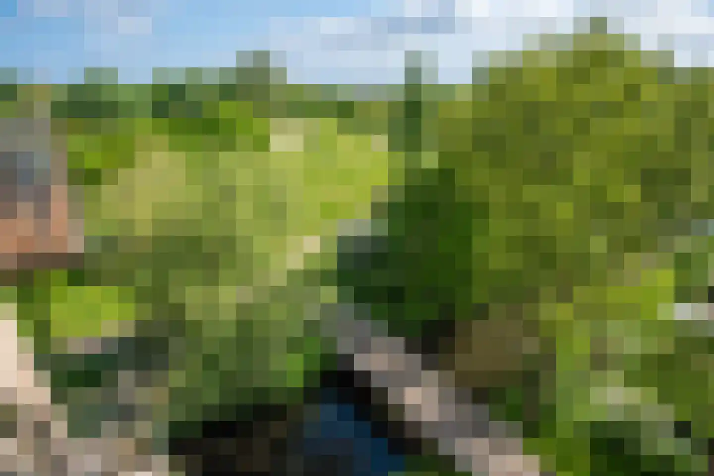 Tuinderspad 148 Alkmaar thumbnail 17