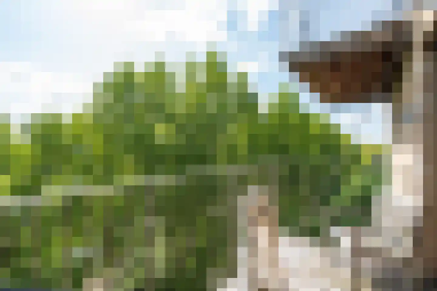 Tuinderspad 148 Alkmaar thumbnail 18