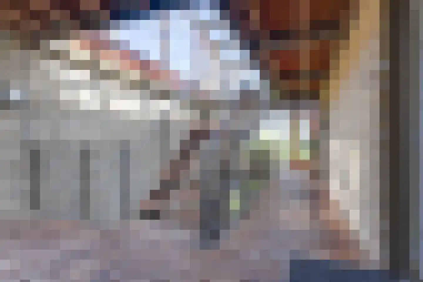 Tuinderspad 148 Alkmaar thumbnail 32