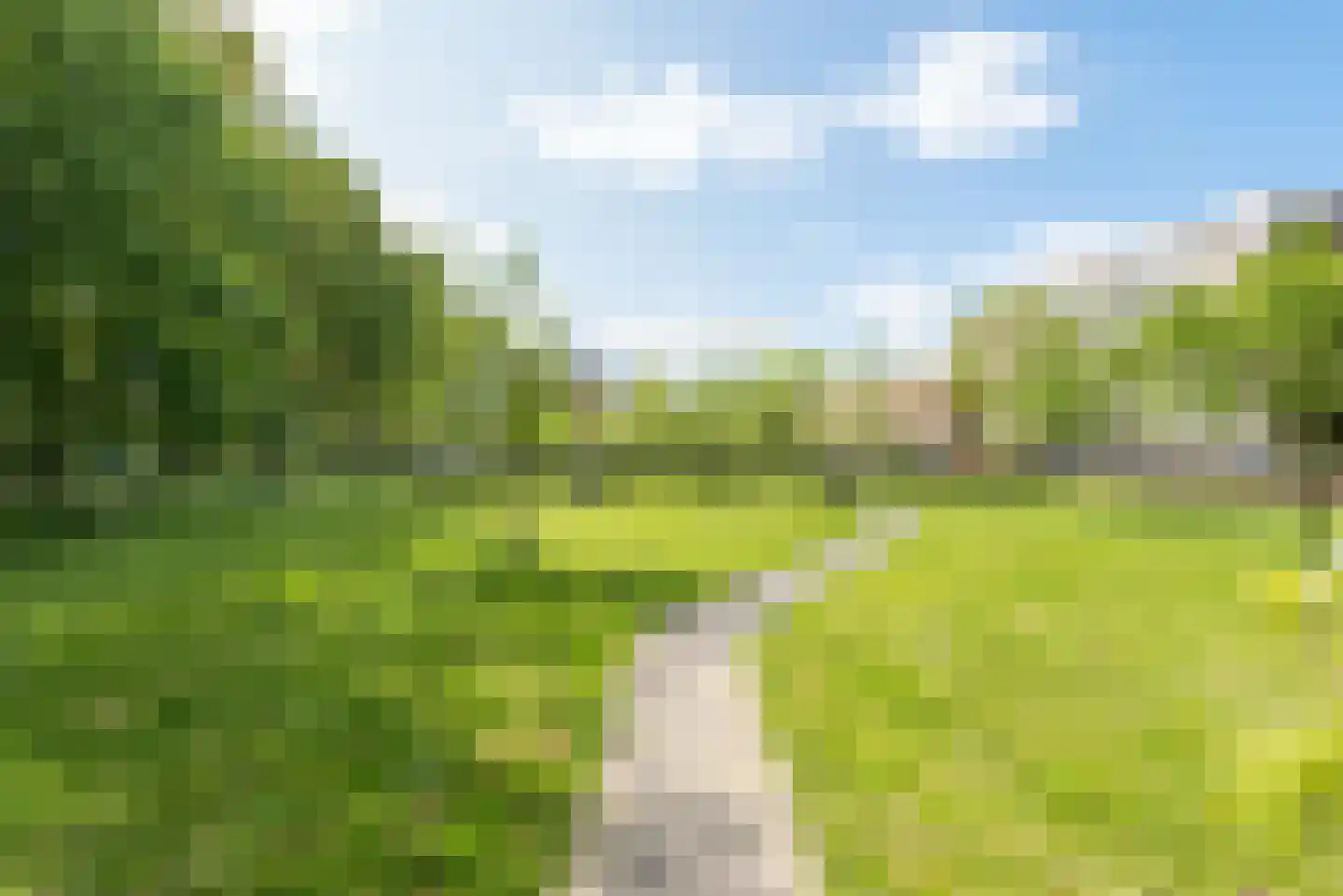 Tuinderspad 148 Alkmaar thumbnail 38