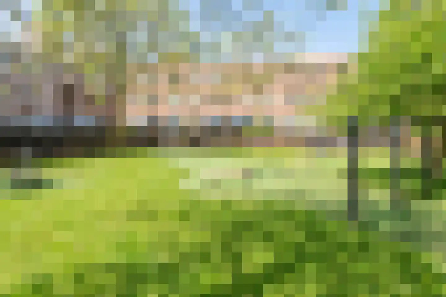 Tuinderspad 148 Alkmaar thumbnail 39