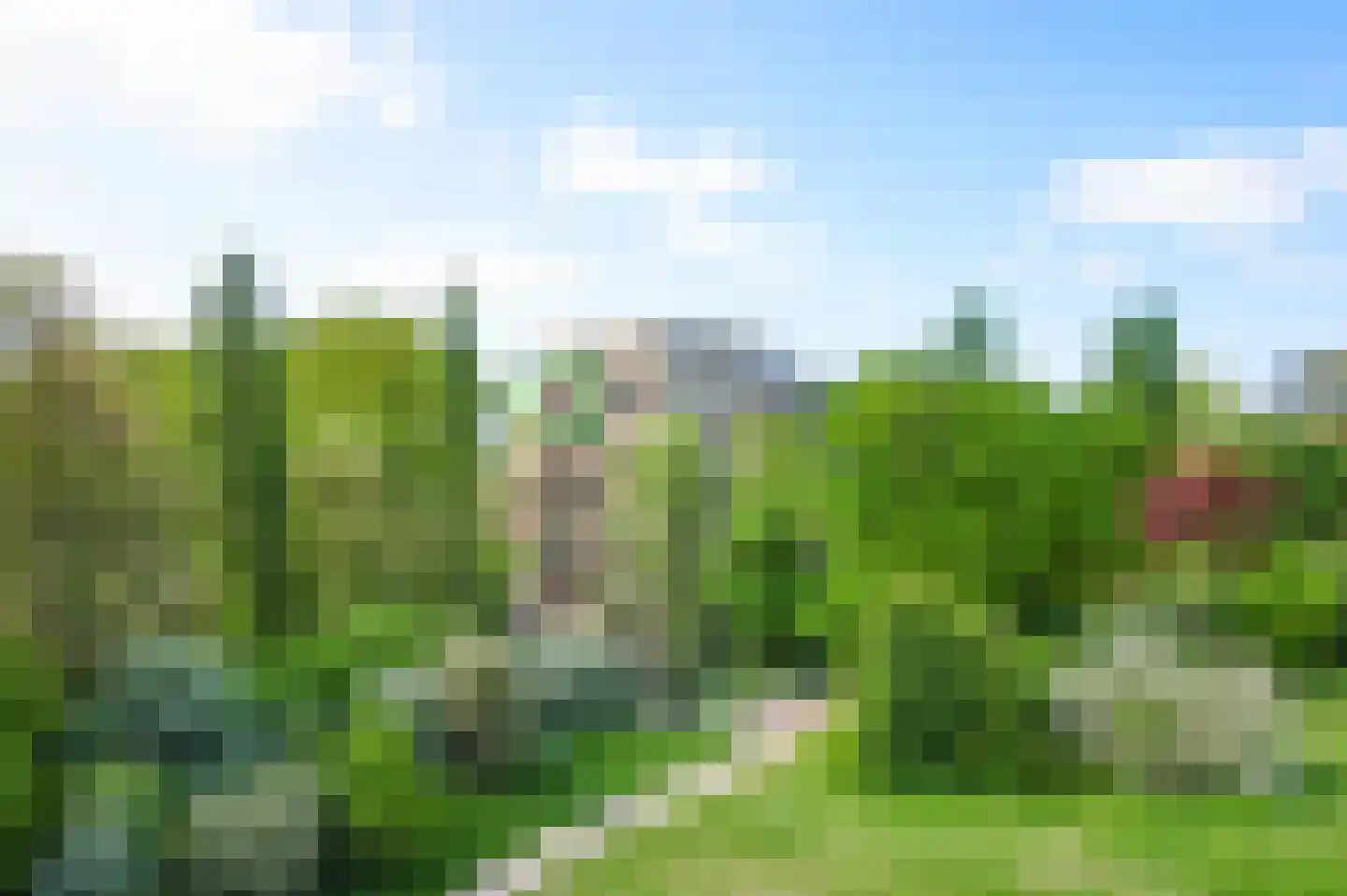 Tuinderspad 148 Alkmaar thumbnail 41