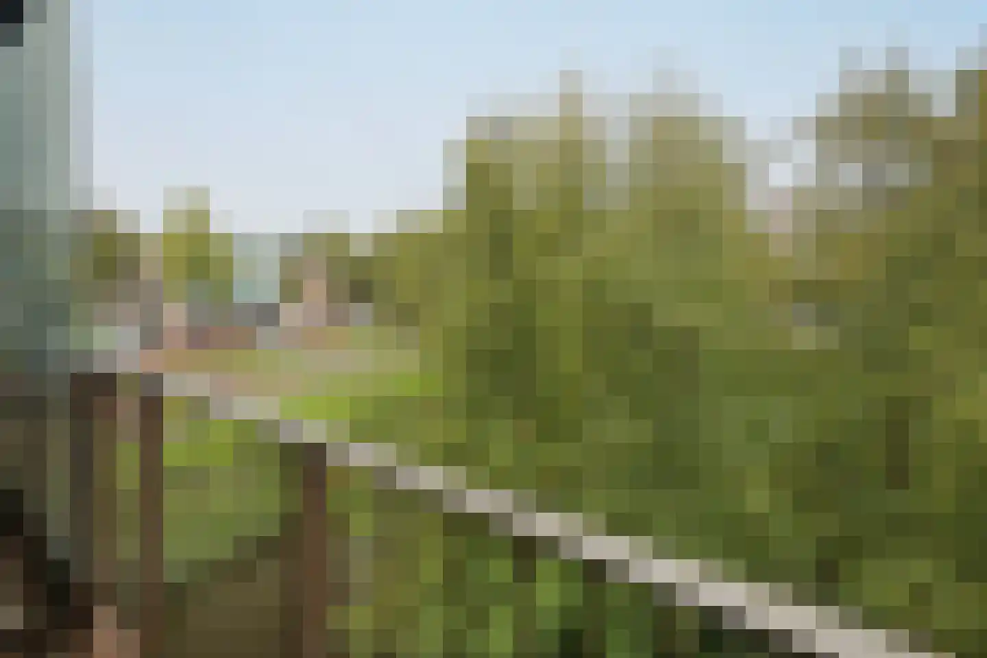 Tuinderspad 22 Alkmaar thumbnail 10