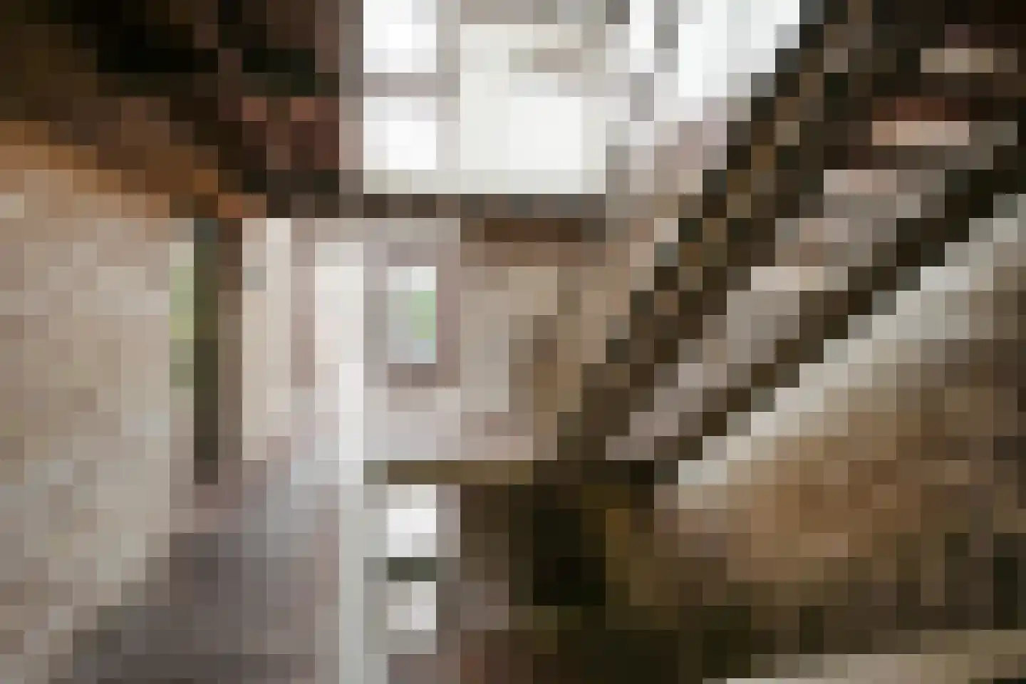 Tuinderspad 22 Alkmaar thumbnail 22