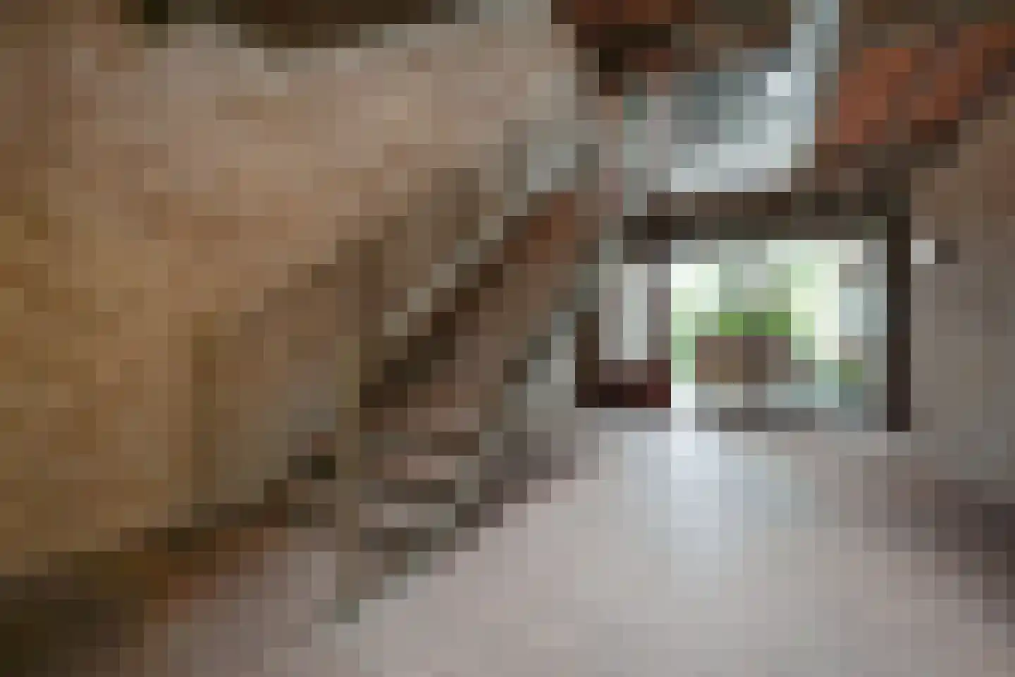 Tuinderspad 22 Alkmaar thumbnail 26