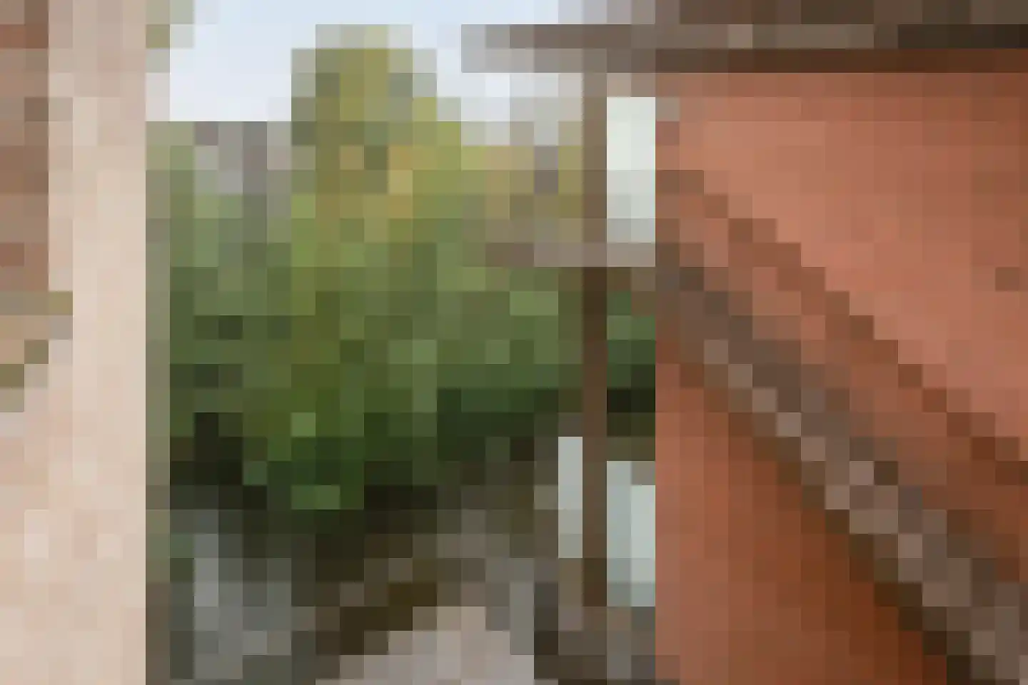 Tuinderspad 22 Alkmaar thumbnail 29