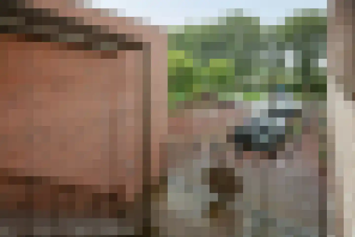 Tuinderspad 22 Alkmaar thumbnail 30