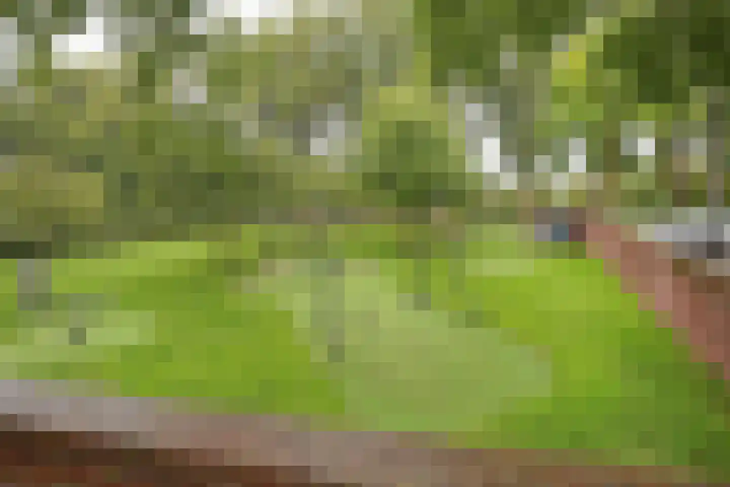 Tuinderspad 22 Alkmaar thumbnail 31