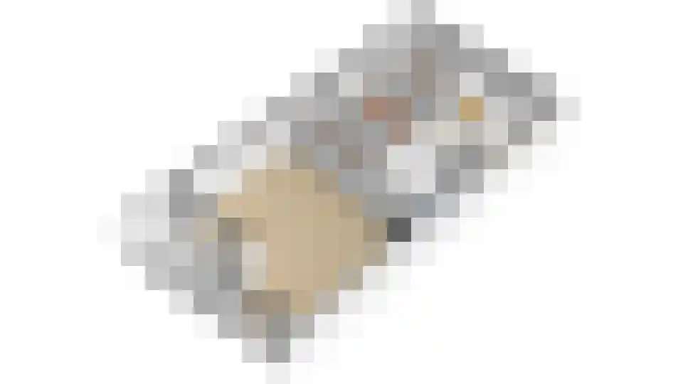 Tuinderspad 22 Alkmaar thumbnail 36