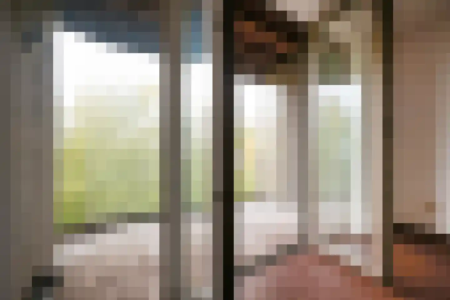 Tuinderspad 22 Alkmaar thumbnail 7