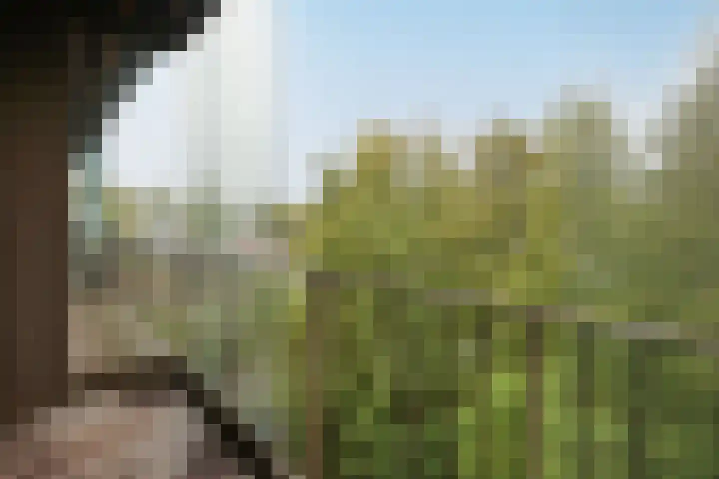 Tuinderspad 22 Alkmaar thumbnail 8
