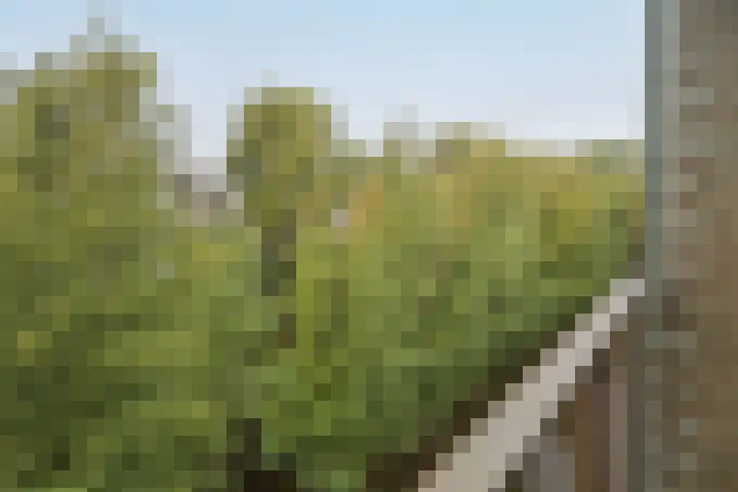 Tuinderspad 22 Alkmaar thumbnail 9