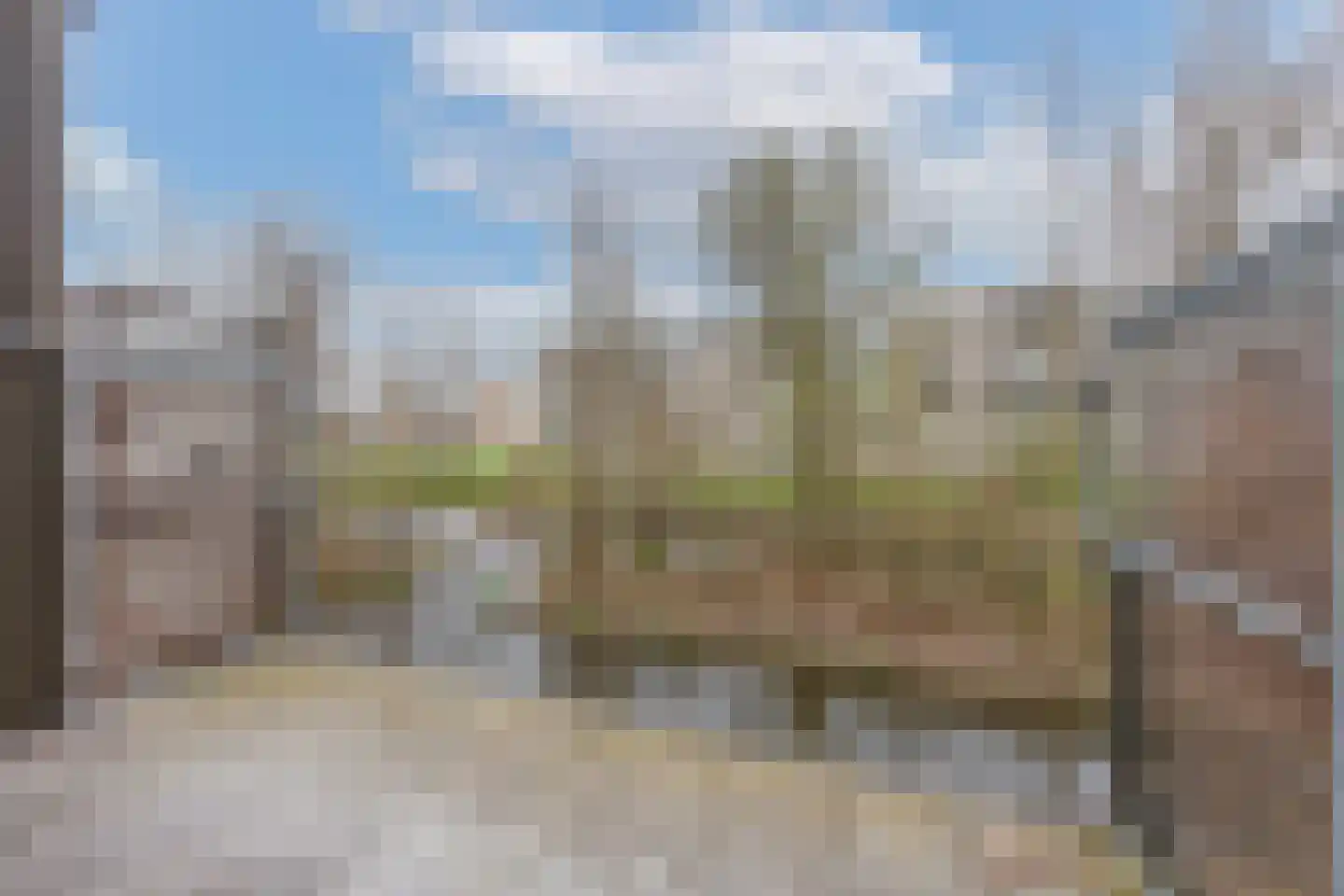 Tuinderspad 26 Alkmaar thumbnail 28