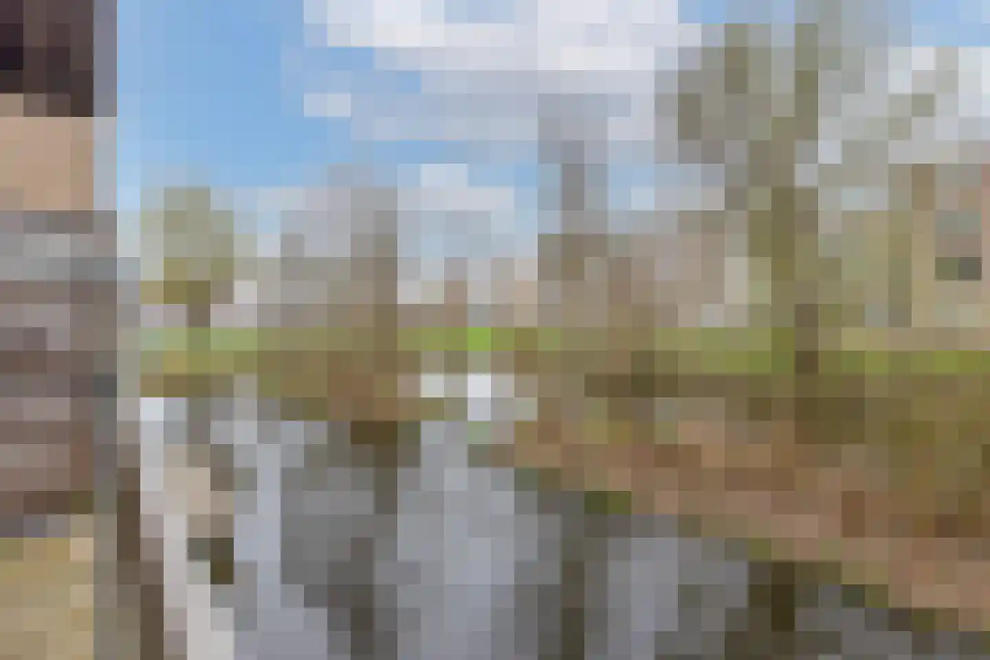 Tuinderspad 26 Alkmaar thumbnail 30