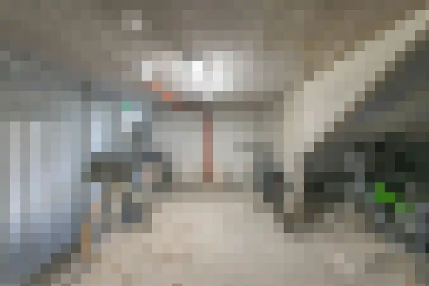 Tuinderspad 26 Alkmaar thumbnail 35