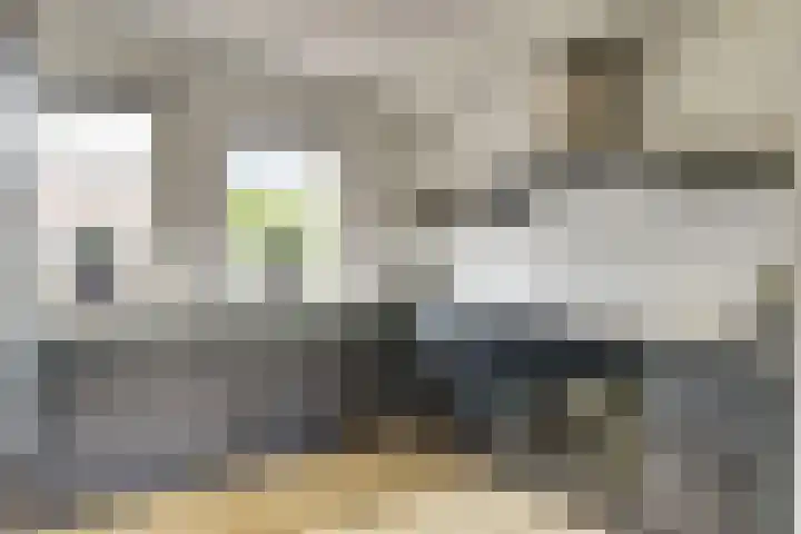 Tuinderspad 3 Schermerhorn thumbnail 11