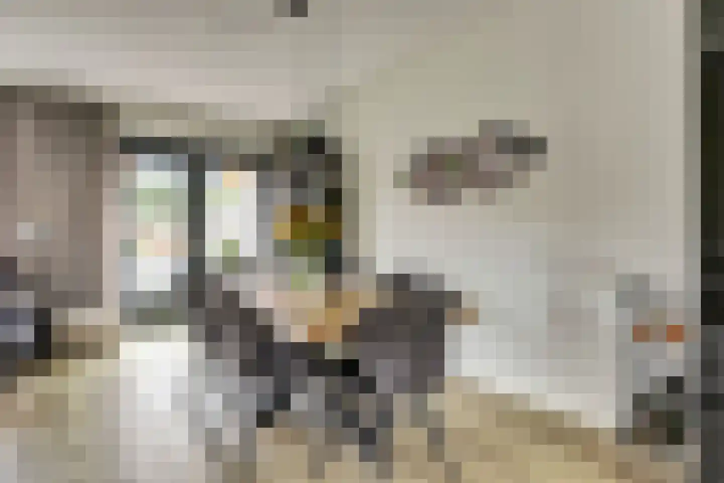 Tuinderspad 3 Schermerhorn thumbnail 11