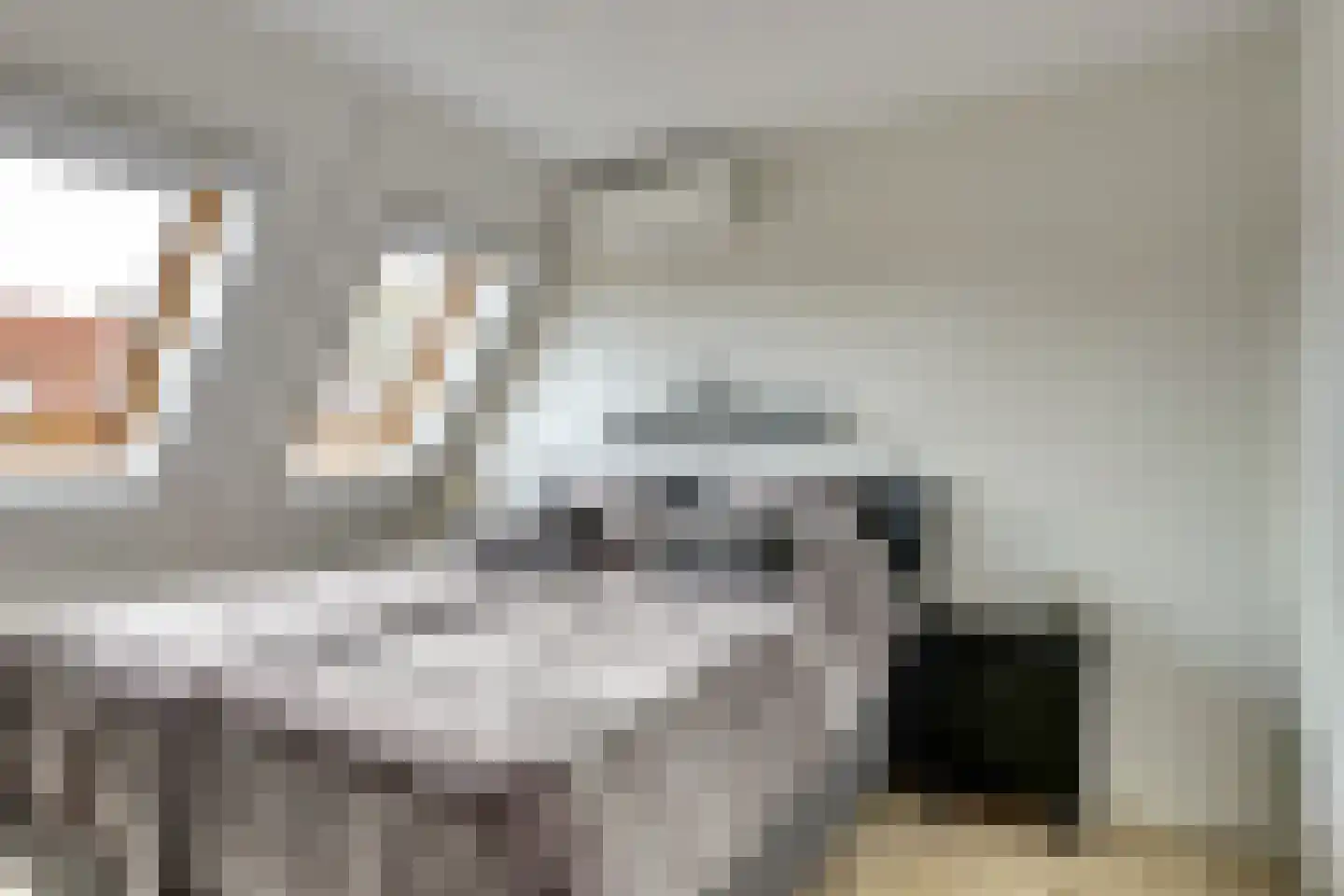 Tuinderspad 3 Schermerhorn thumbnail 20