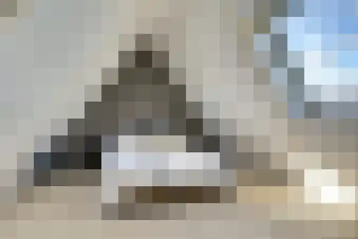 Tuinderspad 3 Schermerhorn thumbnail 26