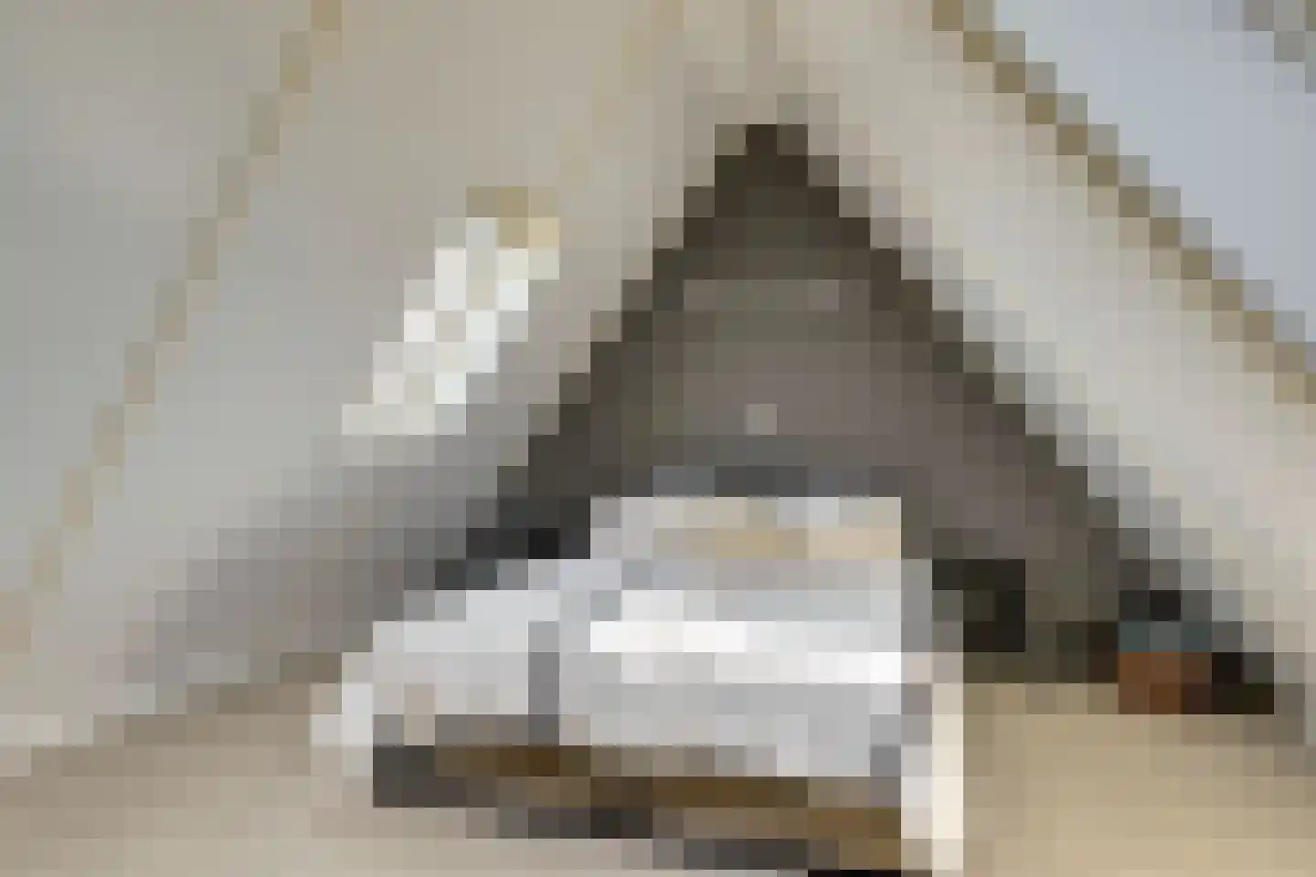 Tuinderspad 3 Schermerhorn thumbnail 29